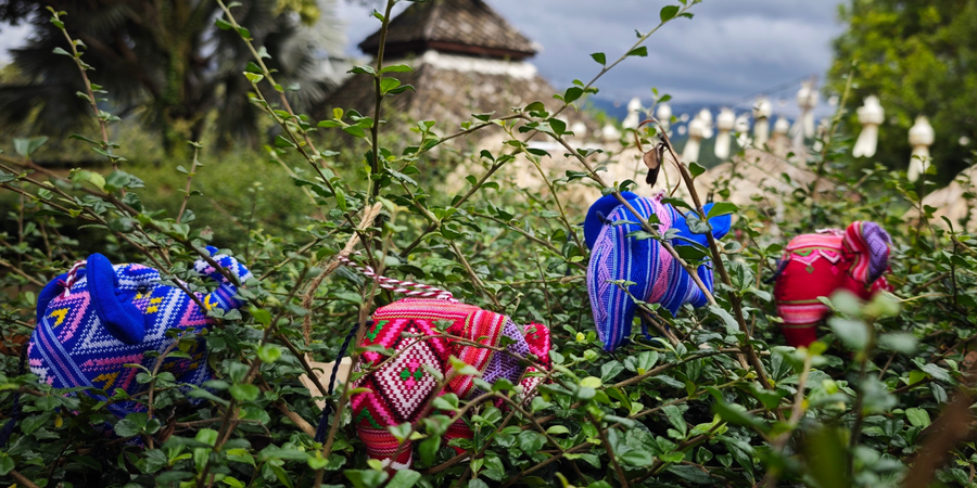 ELEFANTES SOLIDARIOS: CUANDO LA BELLEZA TIENE UN PROPÓSITO