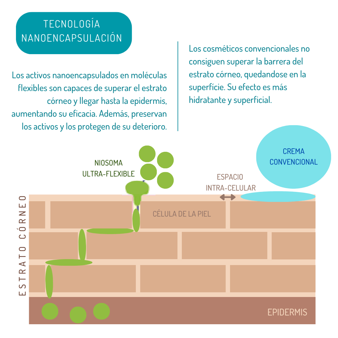 Revitalizante para piernas cansadas, SERUM 910