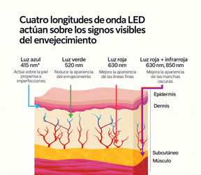 Dispositivo Facial Glo Face LITE | Masaje facial y fototerapia LED 2 en 1