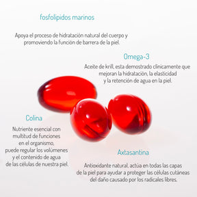 Omega - Aceite de Krill de aguas cristalinas de la Antártida.